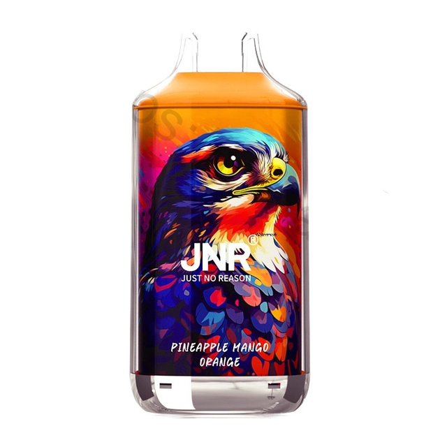 JNR Falcon 16000 Puff