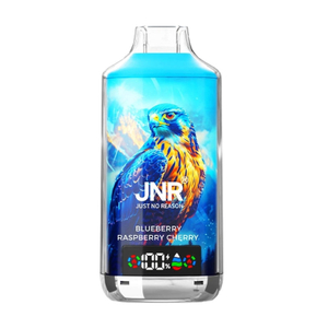 JNR Falcon X 18000 Puffs