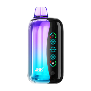 JNR FLEX ICE 21000 puffs