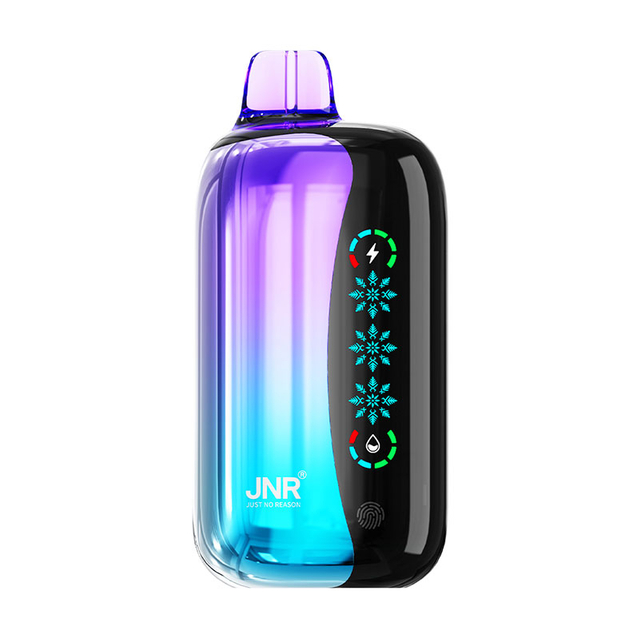 JNR FLEX ICE 21000 puffs